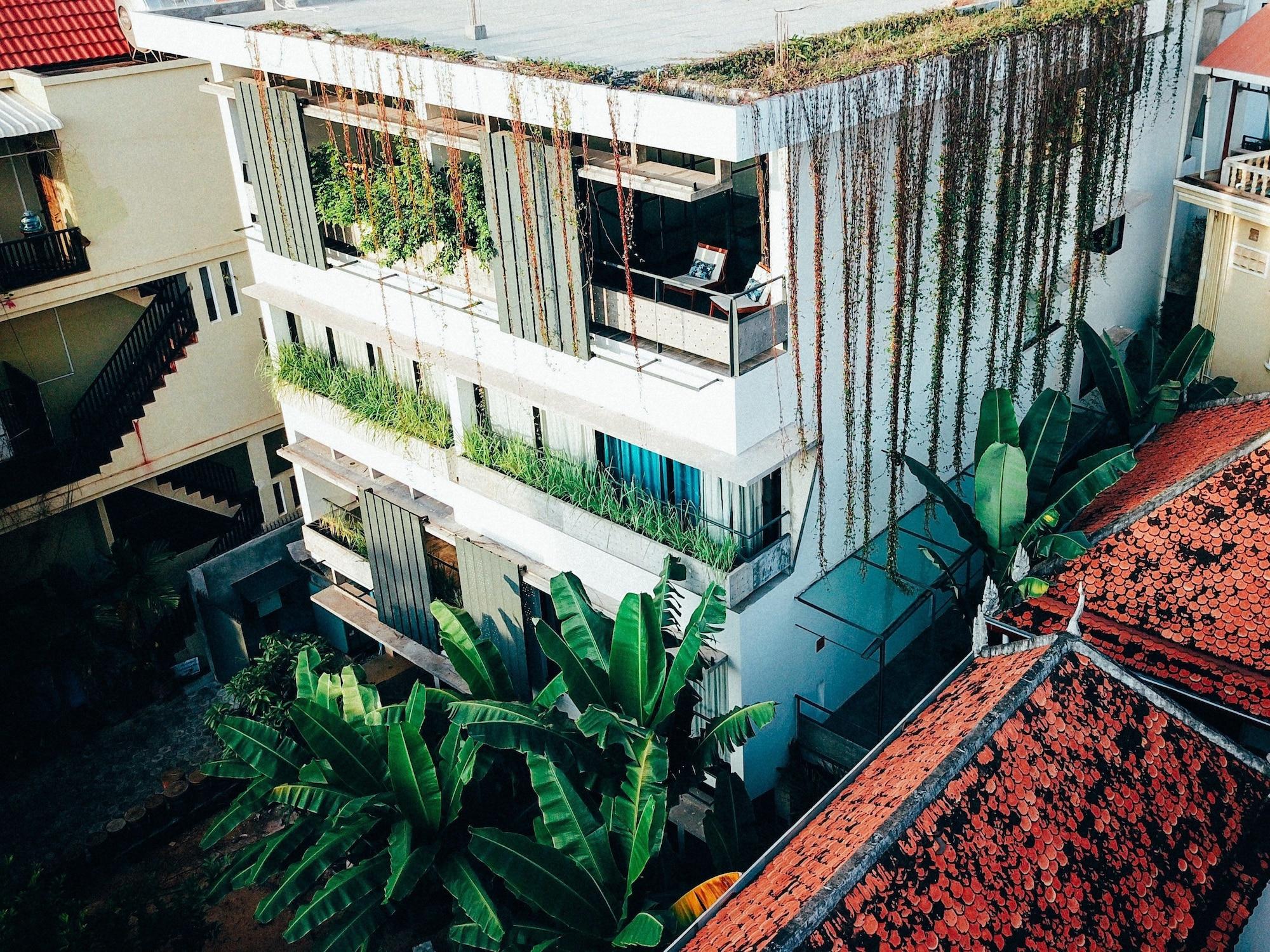 Rambutan - Ciudad de Siem Riep